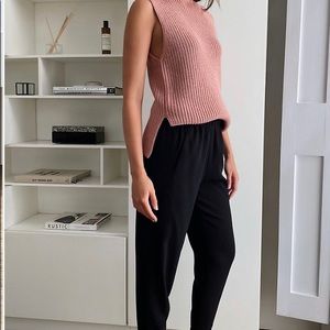 Aritzia Dexter Pants